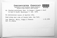 Image Associated With the Occurence